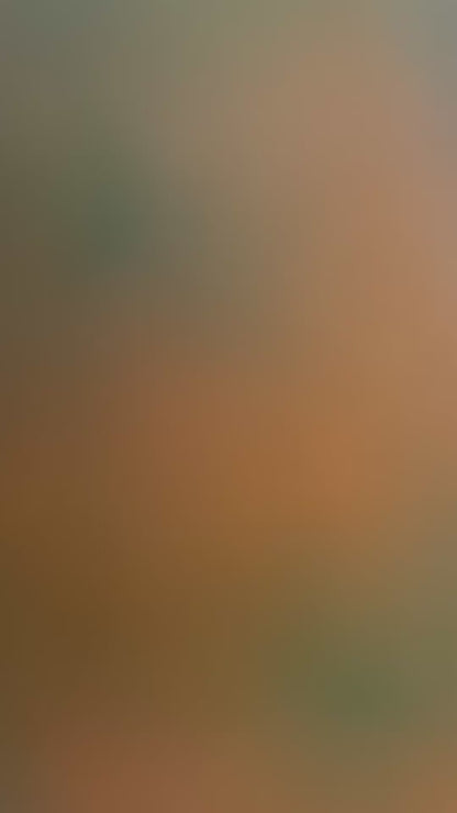 Regenwald Jaspis Kette MIRACLE BLISS